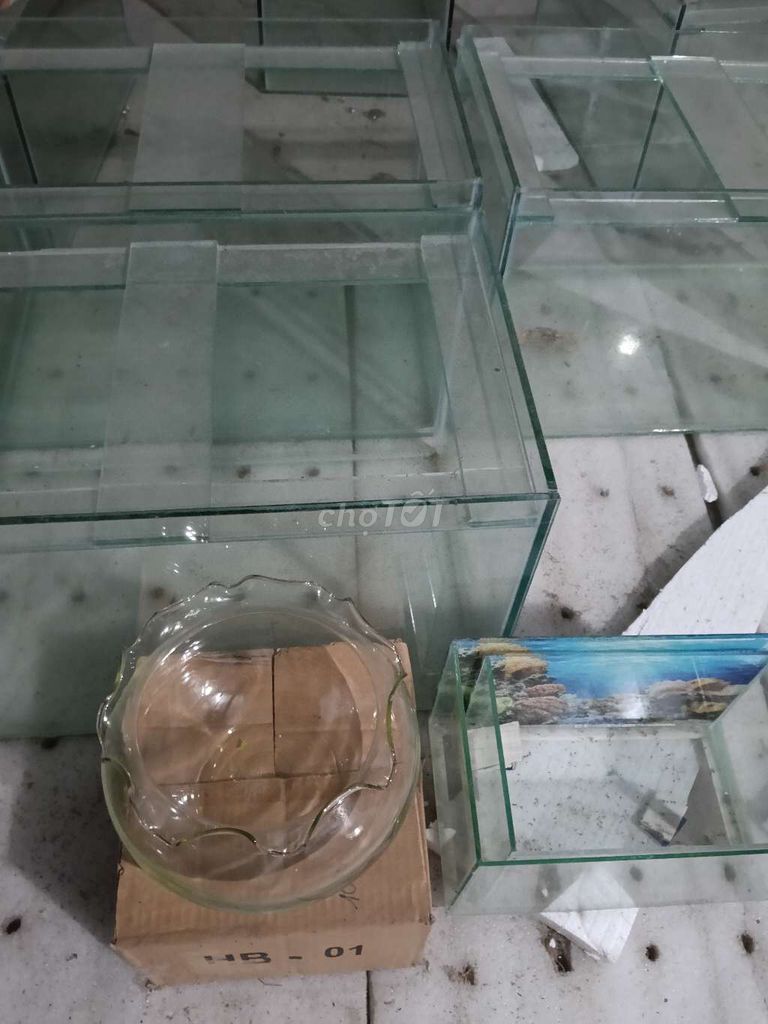 Bể cá cảnh Kính 8 li 60x40x40cm. Mua bán Phụ kiện, Thức ăn, Dịch vụ tại Quận Cái Răng Cần Thơ được đăng bởi Thảo hình 1