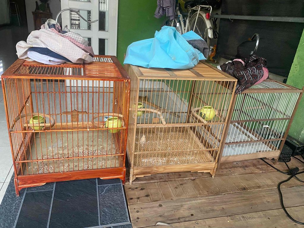 chim chết còn lồng mới chơi được 1 tháng  ban het. Mua bán Phụ kiện, Thức ăn, Dịch vụ tại Thành phố Biên Hòa Đồng Nai được đăng bởi Tên chưa cung cấp hình 1