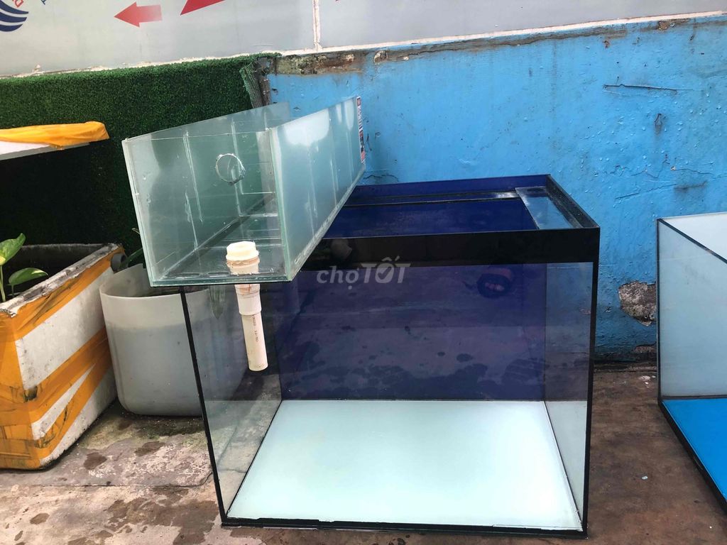 Hồ cá kính 5ly siêu trong. Mua bán Phụ kiện, Thức ăn, Dịch vụ tại Quận 6 Tp Hồ Chí Minh được đăng bởi Quy Tran hình 1