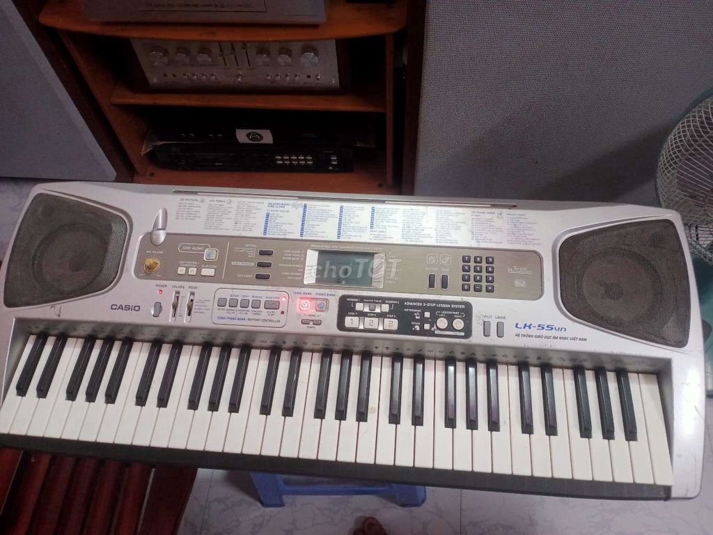 ĐÀN  CASIO LK 55.