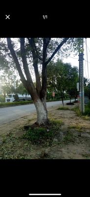 Bán Đất Liên hệ gặp chính chủ. Mua bán đất tại Huyện Đắk Tô Kon Tum được đăng bởi Nguyễn Thị Minh Thuý