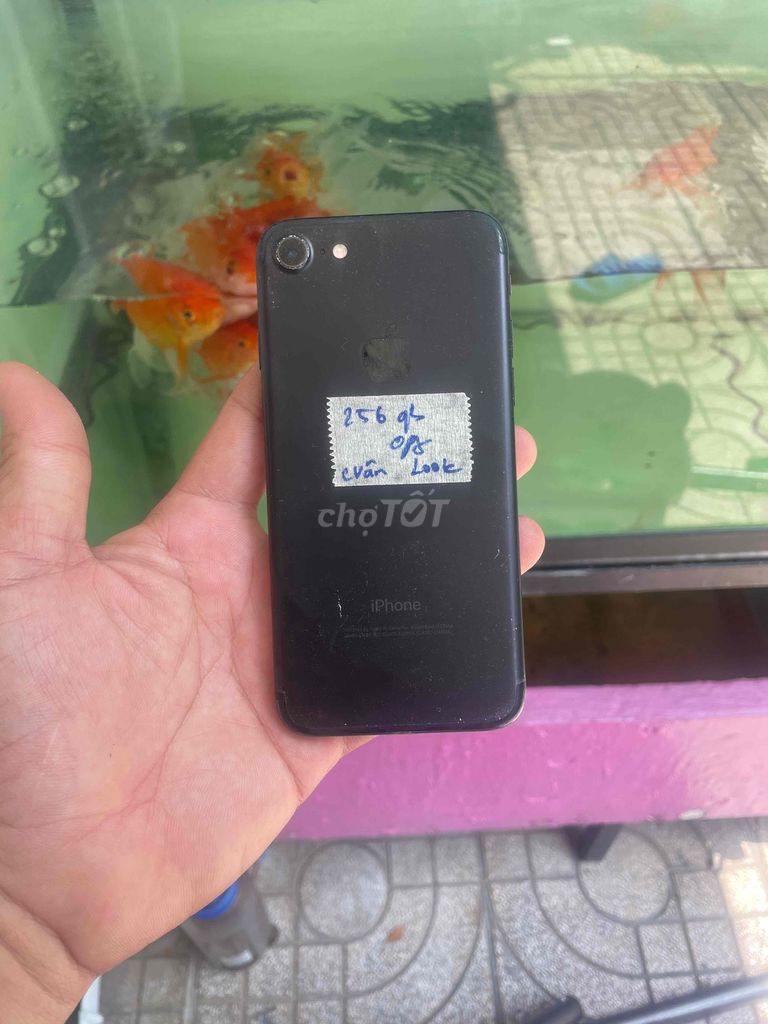 iPhone 7G 256GB Lock. Mua bán Điện thoại tại Quận Tân Phú Tp Hồ Chí Minh được đăng bởi Lưu Văn Tuấn hình 1