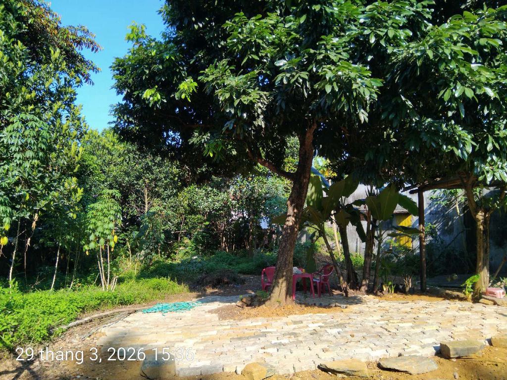 phòng trọ hoặc kinh doanh cf vườn