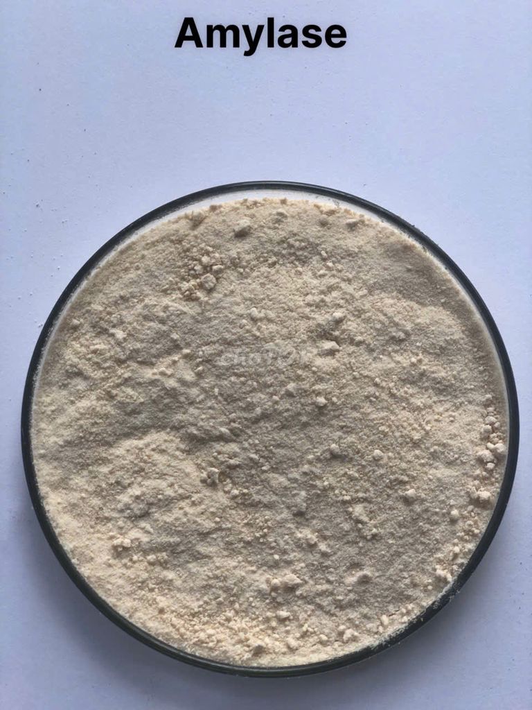Enzyme đơn dòng Amylase  phân giải tinh bột. Mua bán Phụ kiện, Thức ăn, Dịch vụ tại Huyện Đức Hòa Long An được đăng bởi Ms Hạnh  hình 1