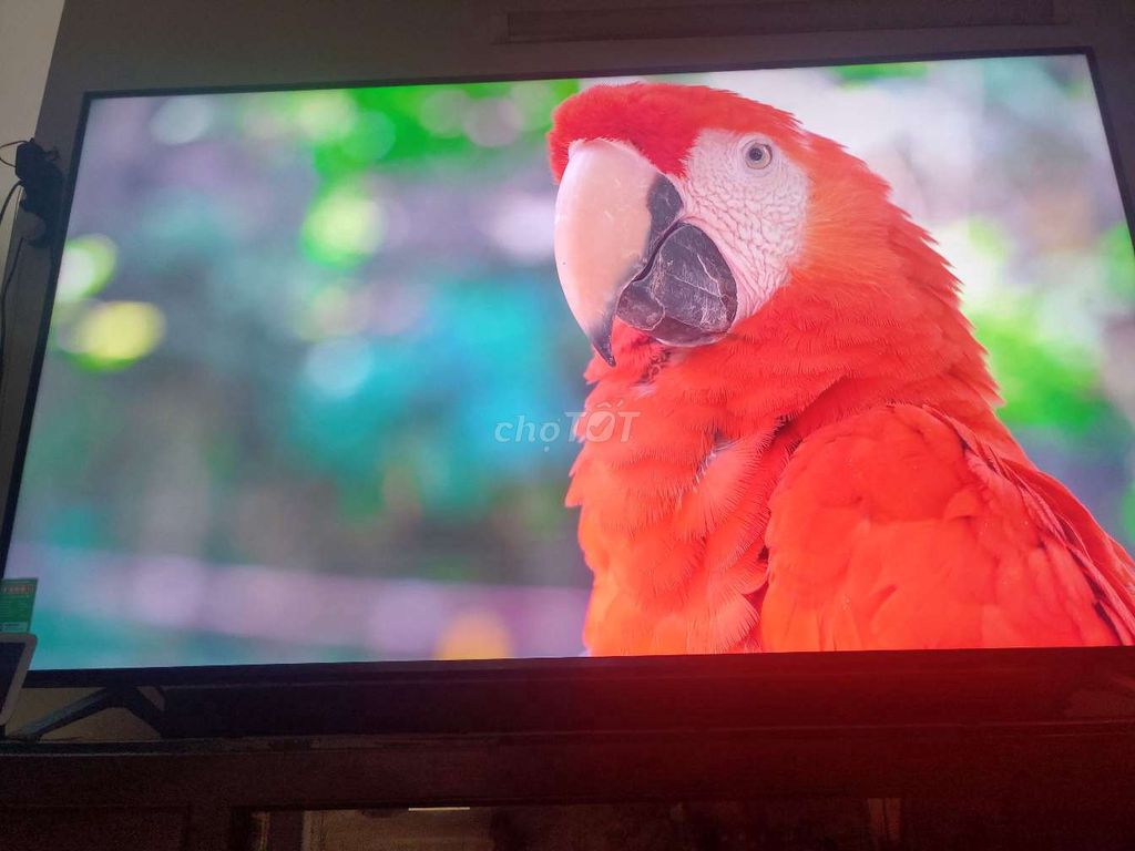 SMART TIVI LG 70inch 4K, 70UP7750PTB, nguyên hộp. Mua bán Tivi, Âm thanh tại Quận Tân Phú Tp Hồ Chí Minh được đăng bởi Nguyễn Khánh Toàn hình 1