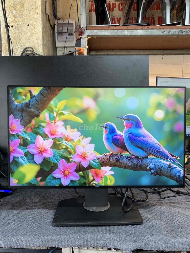 MÀN HÌNH DELL 25" 2K HIỂN THỊ SIÊU ĐẸP SIÊU CHẤT