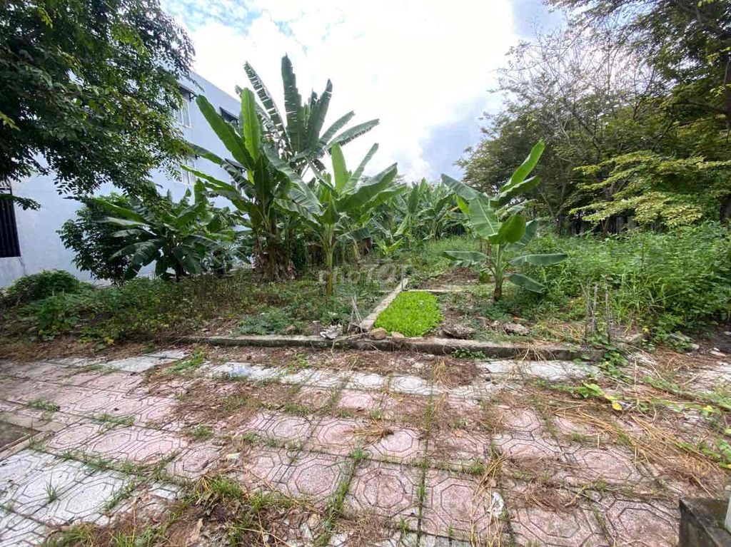 Cần bán 2 lô góc liền kề đất góc 3 mặt tiền tại KDC Hoá An - Biên Hoà. Mua bán đất tại Thành phố Biên Hòa Đồng Nai được đăng bởi Thành Tâm hình 3
