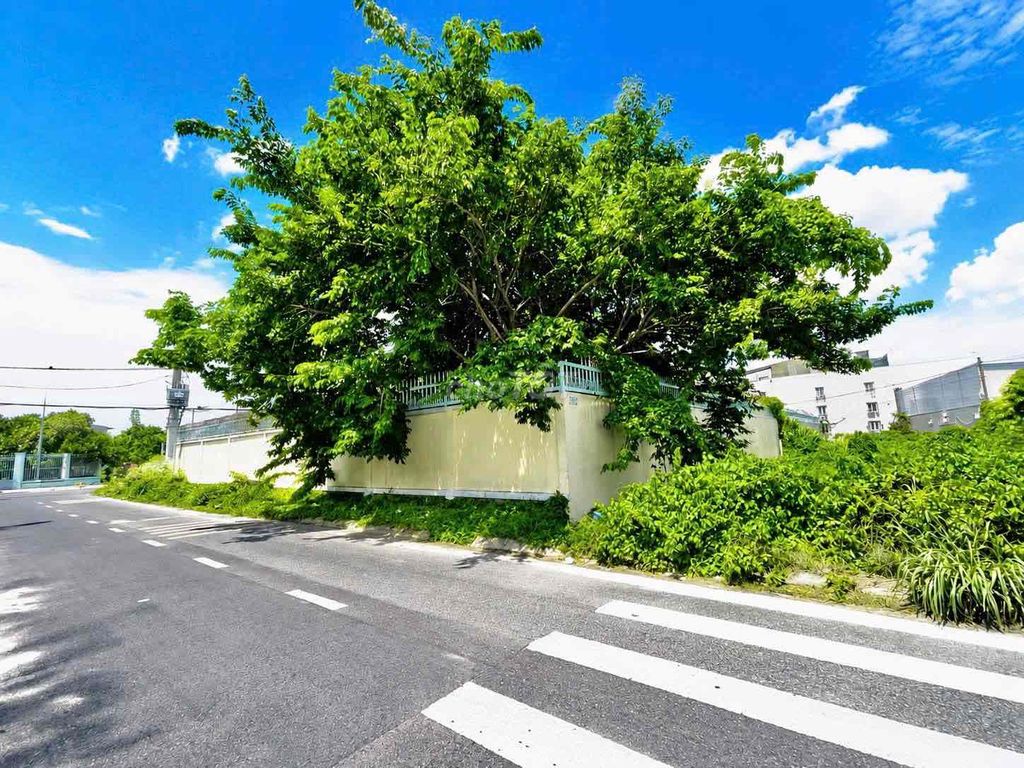 🚨🚨 SỐC NẶNG CỦ CHI!!! 323M² CHỈ 400 TRIỆU – GIÁ NGỘP KHÓ TIN! 🚨🚨 - ảnh 3