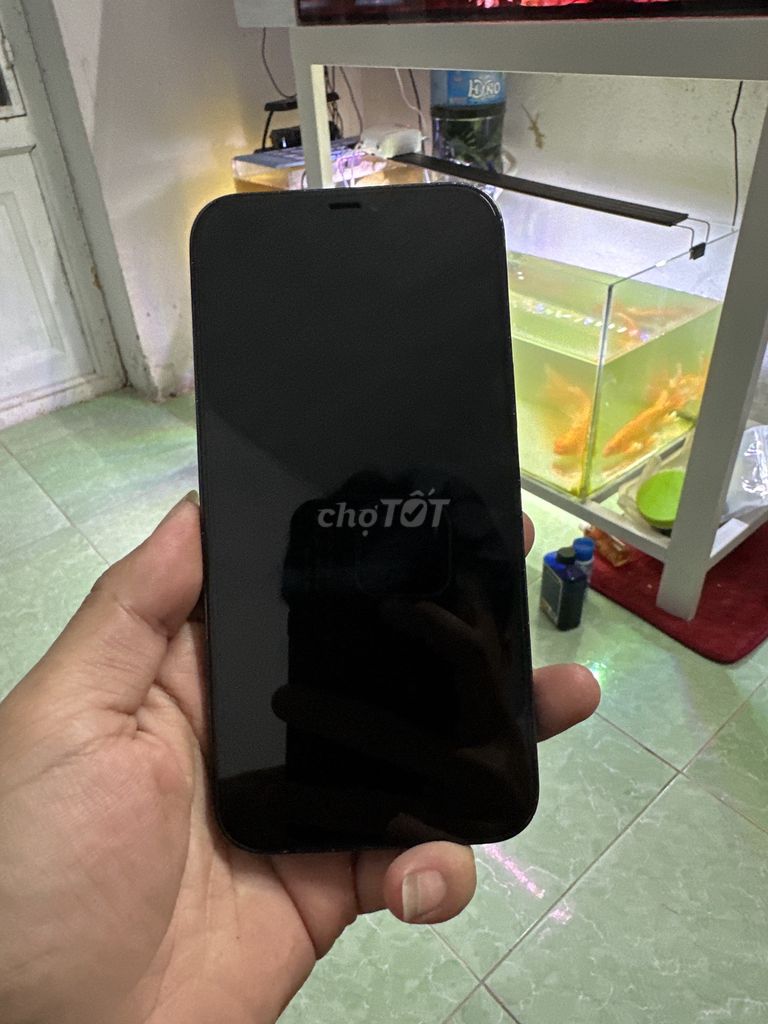 iPhone 12 Pro Max Xanh. Mua bán Điện thoại tại Huyện Hòa Vang Đà Nẵng được đăng bởi Anh tuấn hình 1