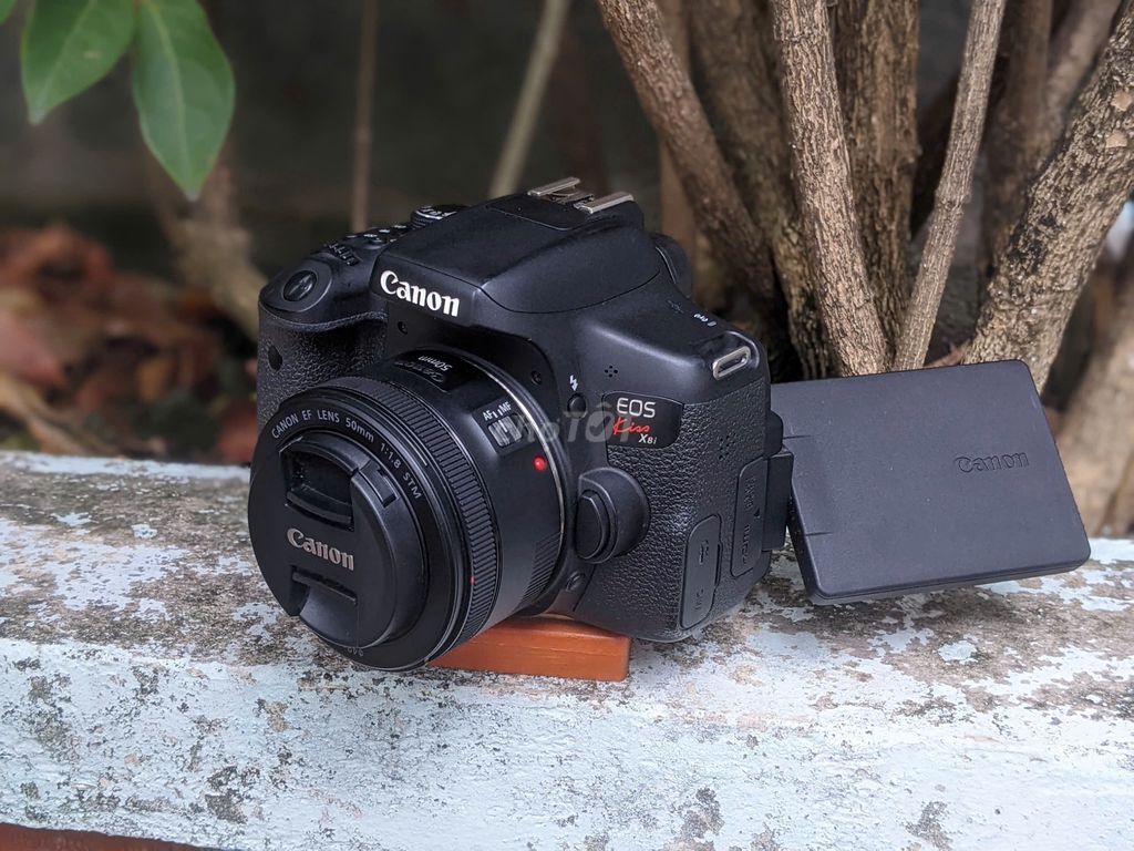 [Máy ảnh KTS] Canon 750D kèm lens 50MM. Mua bán Máy ảnh, Máy quay tại Quận 6 Tp Hồ Chí Minh được đăng bởi may anh KTS hình 1