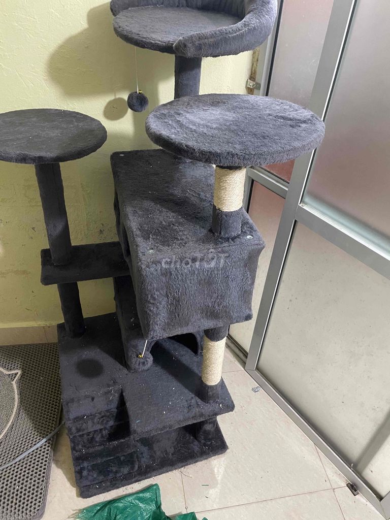 Cây cào móng Xám 1m7 Mới. Mua bán Phụ kiện, Thức ăn, Dịch vụ tại Quận Thanh Xuân Hà Nội được đăng bởi Đinh Hùng hình 1