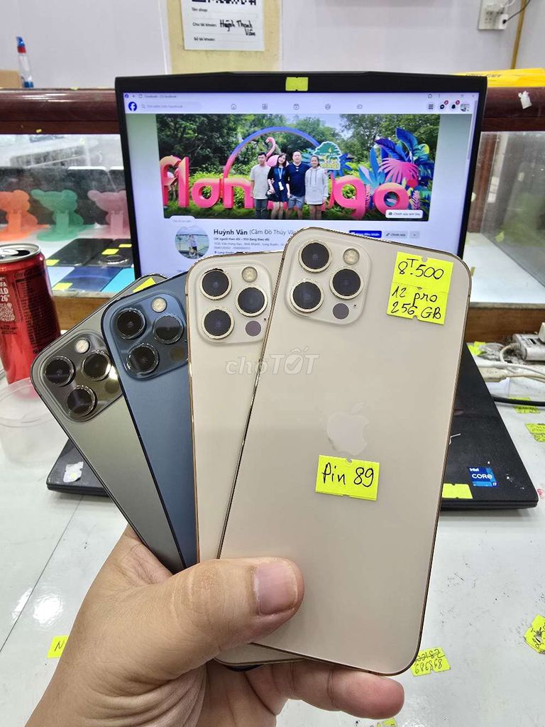 Apple iPhone 12 Pro - Quốc Tế. Mua bán Điện thoại tại Thành phố Long Xuyên An Giang được đăng bởi Facebook Cầm Đồ Thúy Vân hình 1