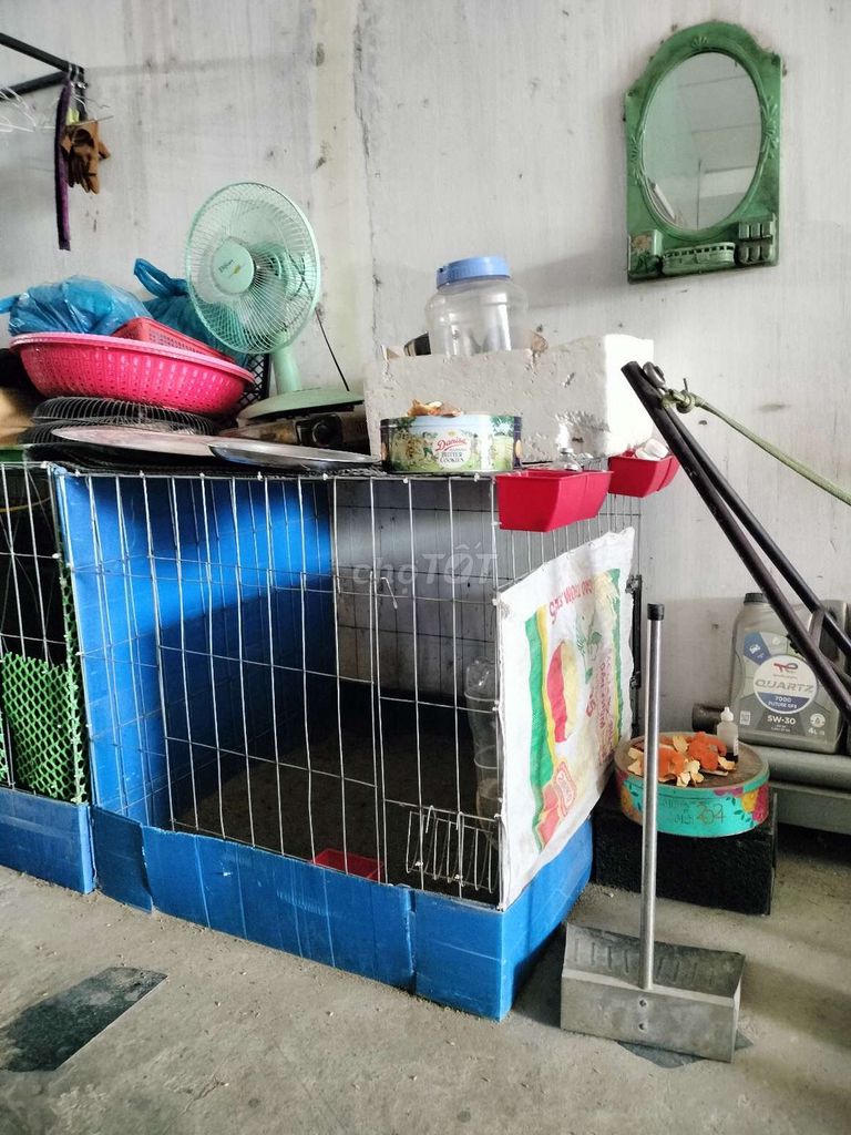 4 Chuồng gà kim loại 80 vuông có khey nhựa . Mua bán Phụ kiện, Thức ăn, Dịch vụ tại Quận Cái Răng Cần Thơ được đăng bởi Huỳnh Quốc Khởi  hình 1