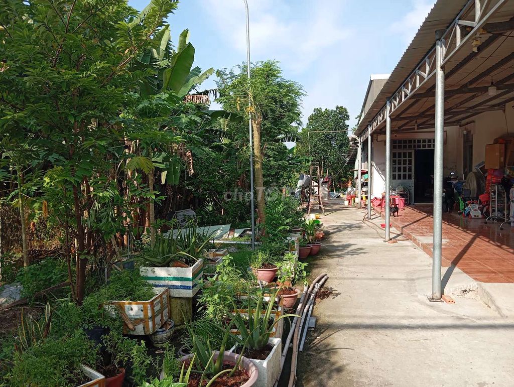 Bán đất gia đình