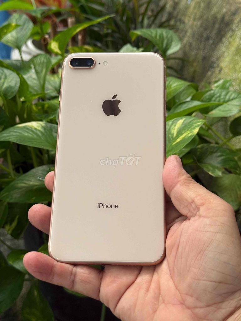 iPhone 8 Plus 64GB Vàng. Mua bán Điện thoại tại Huyện Hóc Môn Tp Hồ Chí Minh được đăng bởi Sonle hình 1