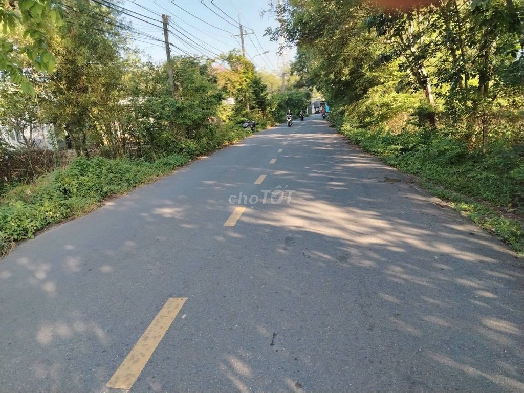 Bán đất mặt tiền Đỗ Đăng Tuyển, Củ Chi, 3362m2, giá 8.5 tỷ - ảnh 4