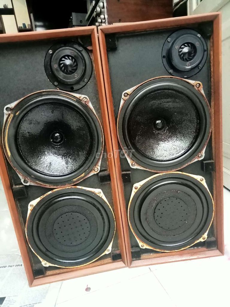 Loa Celestion Ditton 15 Gỗ lạng Nâu Zin 100%. Mua bán Tivi, Âm thanh tại Huyện Nhà Bè Tp Hồ Chí Minh được đăng bởi Vantai hình 1