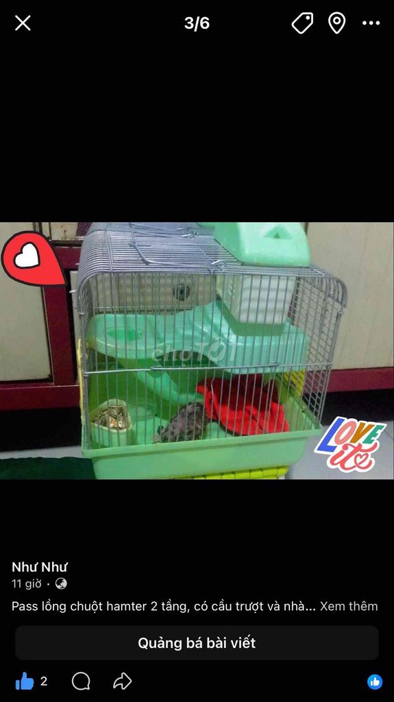 Lồng hamster 2 tầng Xanh lá. Mua bán Phụ kiện, Thức ăn, Dịch vụ tại Huyện Cần Giuộc Long An được đăng bởi Như Như hình 1