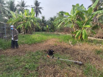 Lộ Thầy Cai cách ĐL Đông Tây khoảng 400m, Khu đông dân, xe cộ qua lại. Cho thuê đất tại Thành phố Bến Tre Bến Tre được đăng bởi Trúc