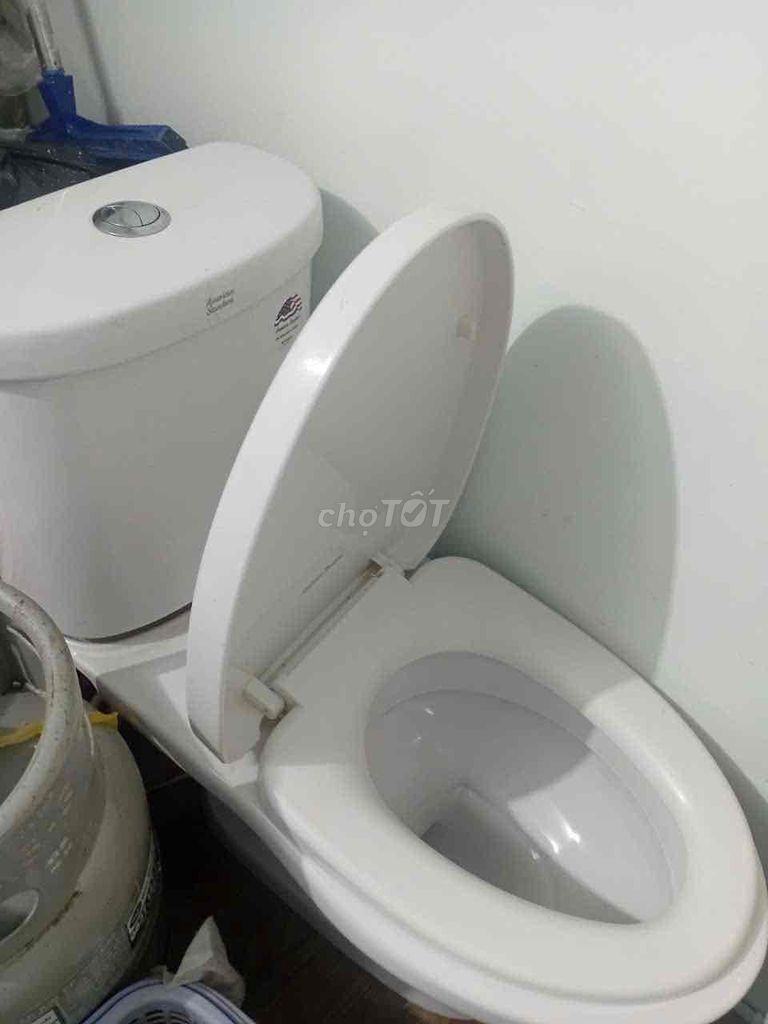 cầu và lavabo American standan vòi lạnh