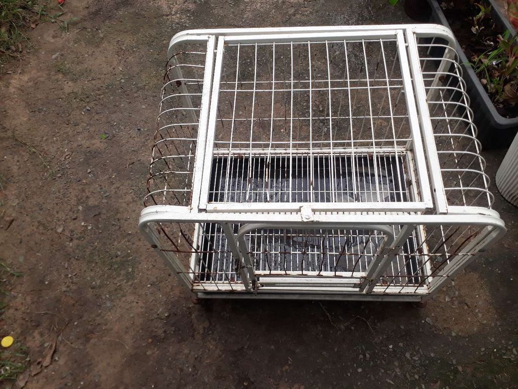 Lồng vận chuyển chó mèo Size M hàng mới. Mua bán Phụ kiện, Thức ăn, Dịch vụ tại Quận Bình Tân Tp Hồ Chí Minh được đăng bởi nguyen nguyen hình 1