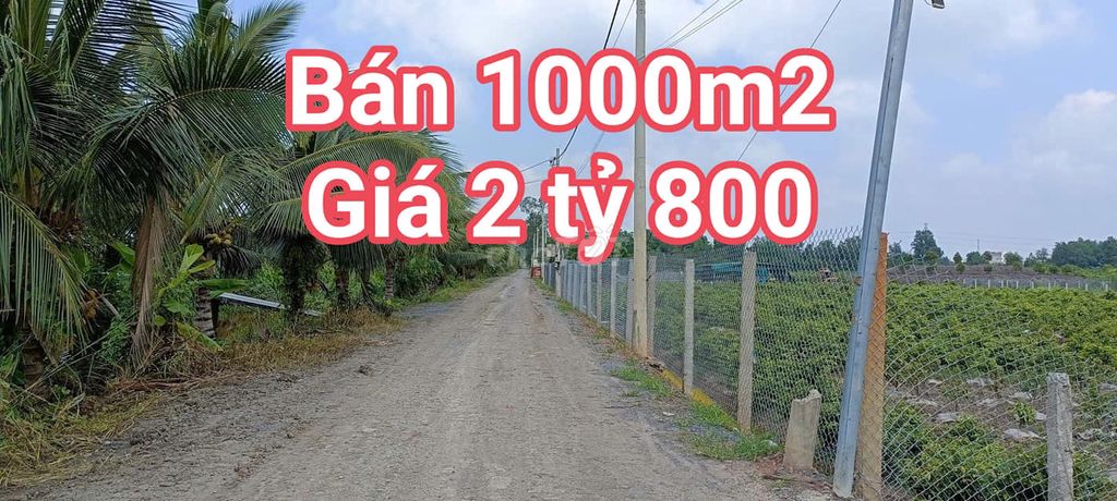 BÁN LÔ ĐẤT VƯỜN 1000M2- GIÁ RẺ-BÌNH LỢI - BÌNH CHÁNH-GỌI CHO E XEM ĐẤT