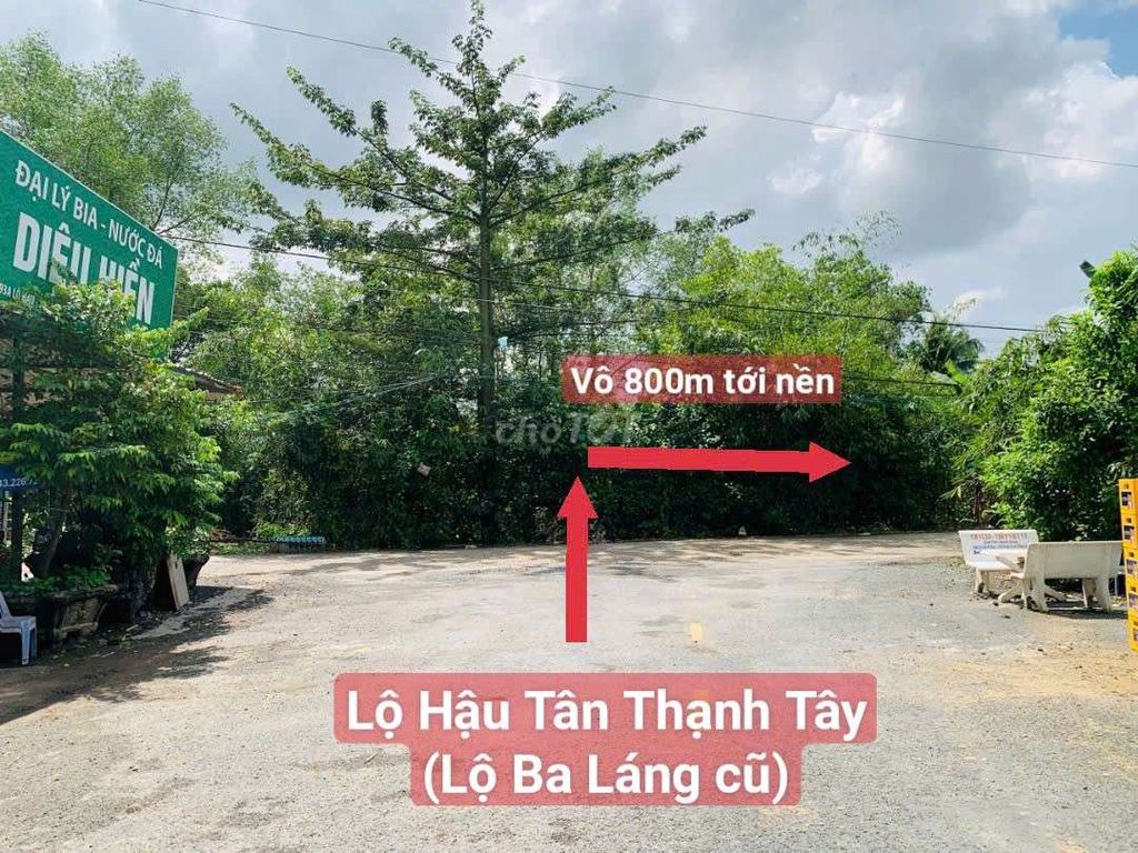 BÁN 1.622M² ĐẤT VƯỜN GẦN QL 61C, KV5 PHƯỜNG BA LÁNG, CÁI RĂNG, CẦN THƠ