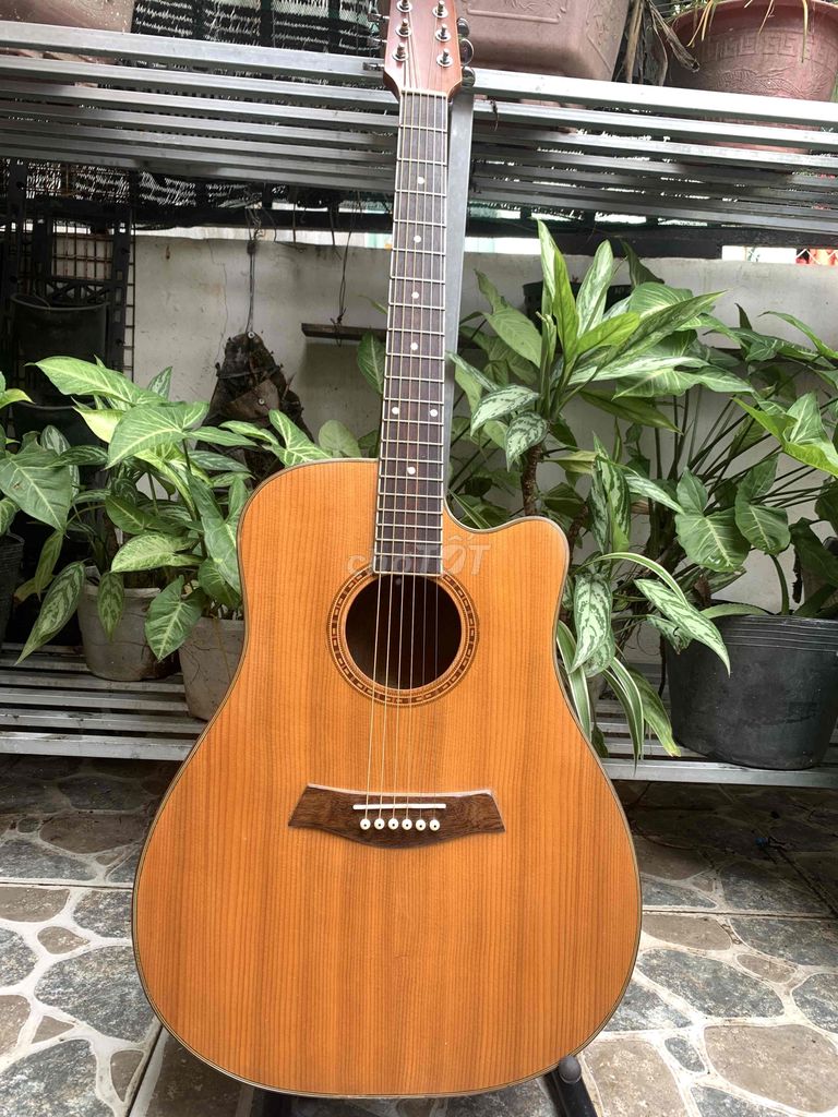 bán guitar gỗ thịt tồn kho