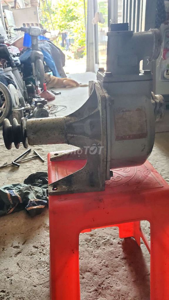 Đầu bơm SU 50. Mua bán Đồ chuyên dụng, Giống nuôi trồng tại Thành phố Long Xuyên An Giang được đăng bởi Trung Bình hình 1
