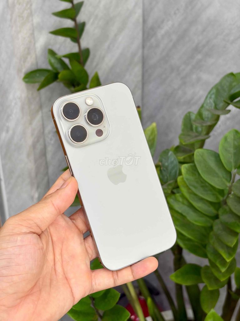 Apple iPhone 16 Pro 128GB Nature 99%. Mua bán Điện thoại tại Quận Gò Vấp Tp Hồ Chí Minh được đăng bởi Toto Mobile hình 1