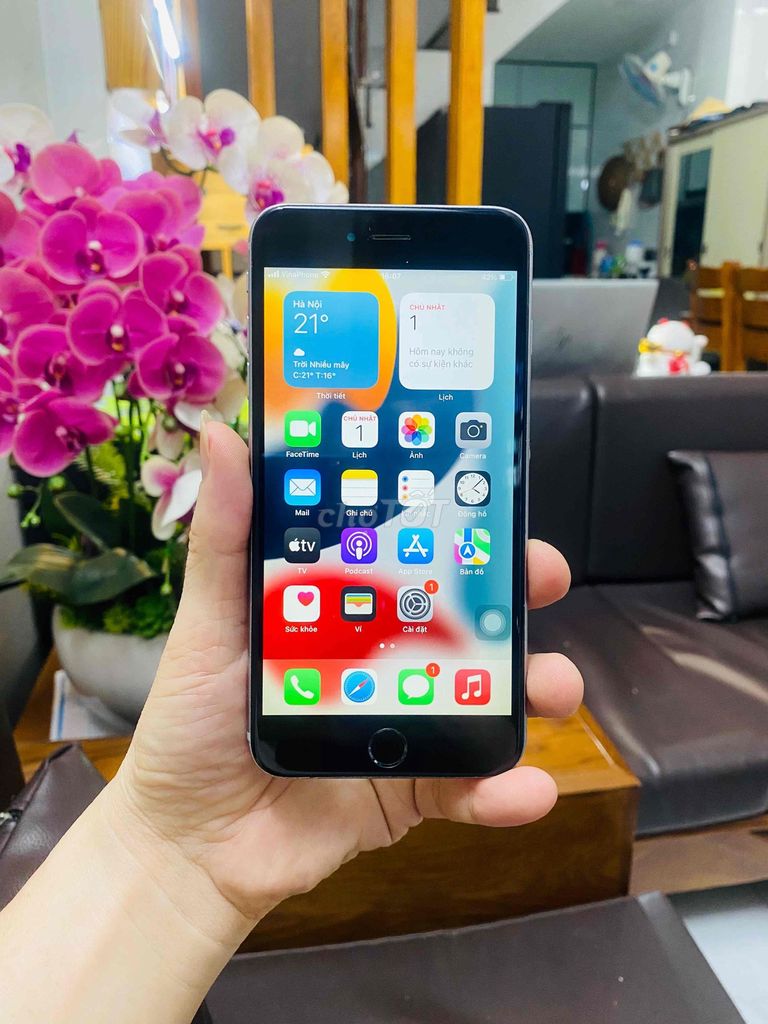 iPhone 6s Plus 64G zin, sạch icl, còn vân, full cn. Mua bán Điện thoại tại Quận Tân Bình Tp Hồ Chí Minh được đăng bởi ANH ĐỨC Store hình 1