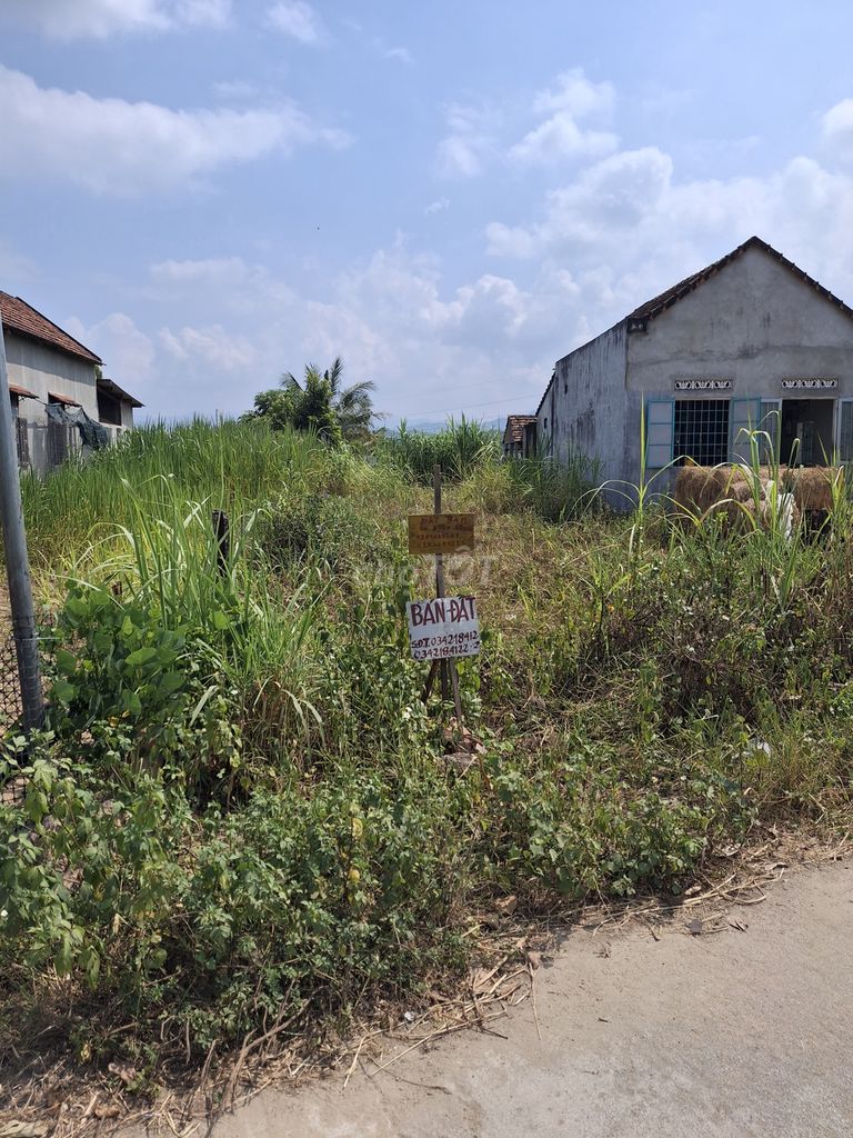 Bán đất     cách ql19 50m giá 4xxtr