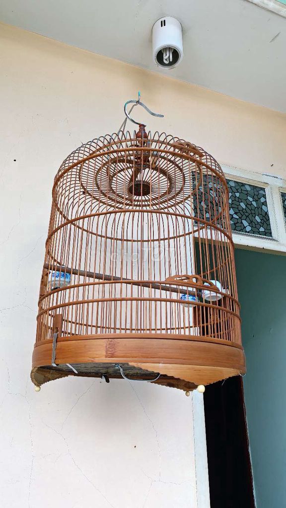 Lồng chim tre Nâu 42cm Nguyên zin. Mua bán Phụ kiện, Thức ăn, Dịch vụ tại Quận 4 Tp Hồ Chí Minh được đăng bởi Tuan luong hình 1