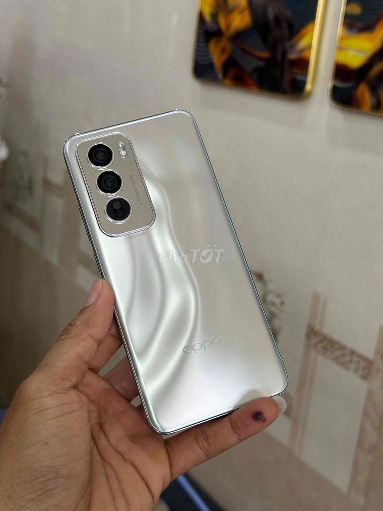 oppo reno 12 5G ram12/256. Mua bán Điện thoại tại Thành phố Cà Mau Cà Mau được đăng bởi Thanh phong  hình 3