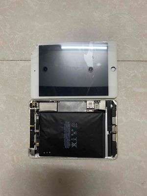 Bán xác ipad mini 4. Mua bán Máy tính bảng tại Quận Bình Tân Tp Hồ Chí Minh được đăng bởi Tín Trần 