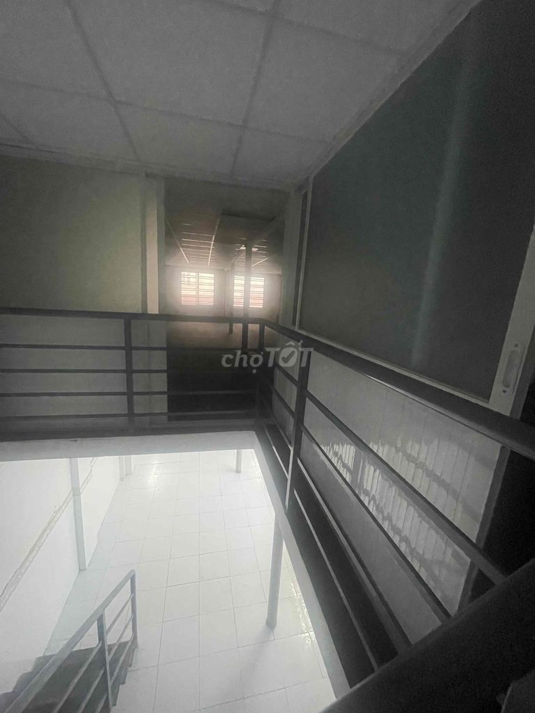 сдается 5*13, 1 цокольный этаж, 2 аллеи 285 см/8