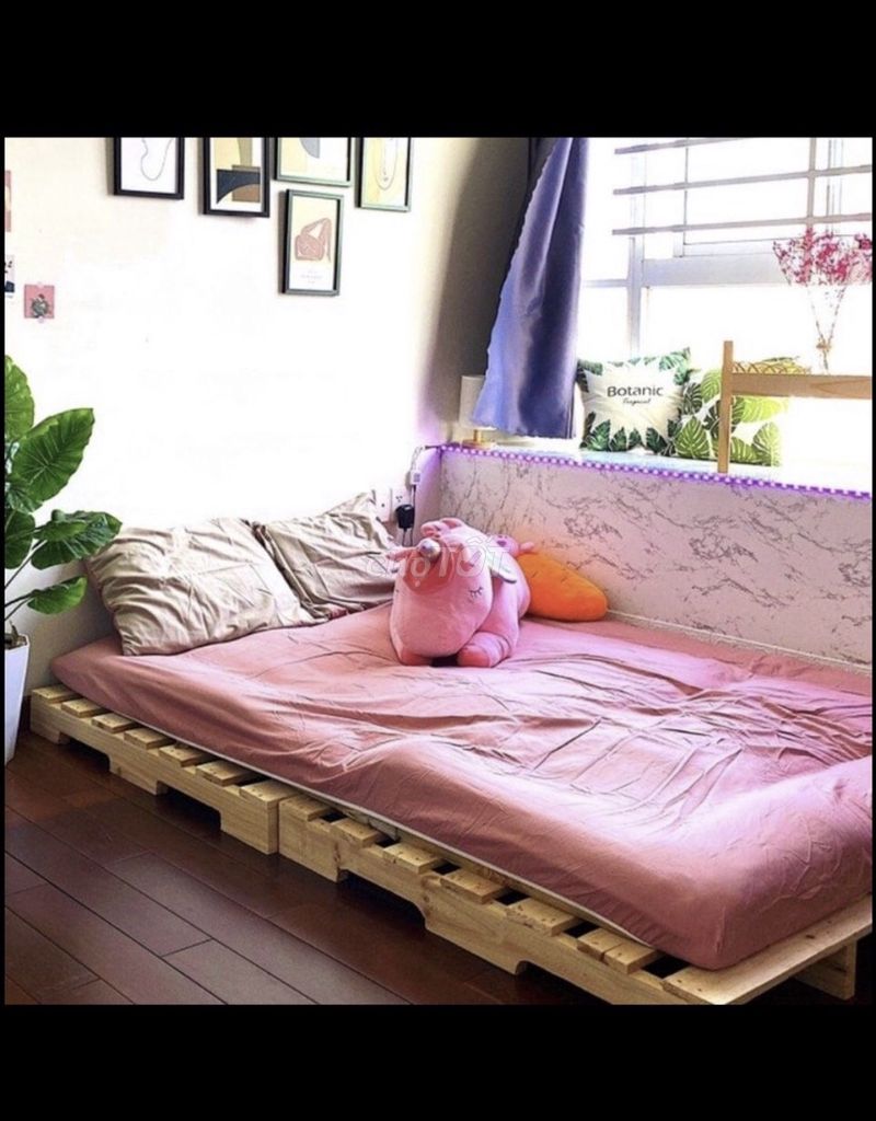 Giường Ngủ Pallet Gỗ Thông Full Kích Cở