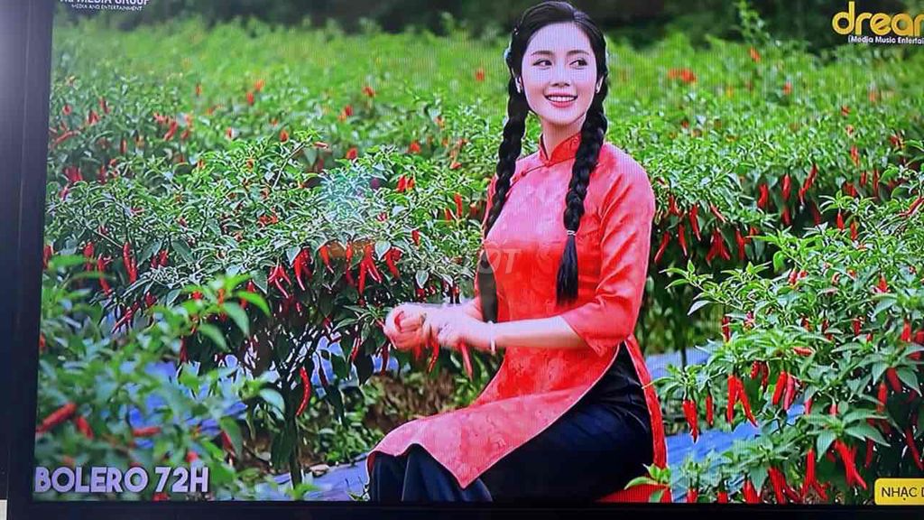 Tivi Toshiba 32inch Đã sử dụng. Mua bán Tivi, Âm thanh tại Huyện Chợ Mới An Giang được đăng bởi Huy Quách AUDIO GIA RE AM THANH KARAOKE TIVI MONGGIABINHDAN  hình 1