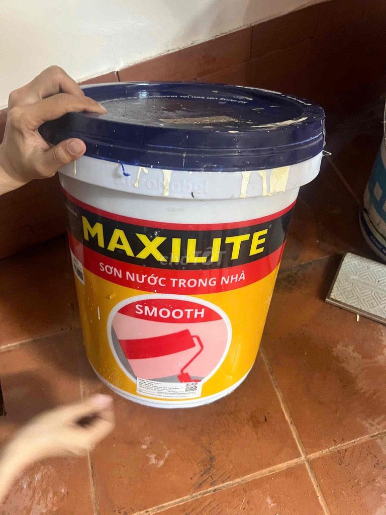 Sơn Maxilite Trong Nhà Smooth – Mã Màu Vàng Nhạt 7