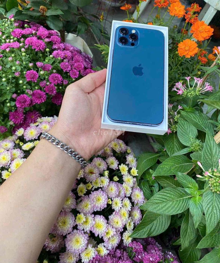 12promax 128gb blue qtế mỹ pin , màn lkch apple. Mua bán Điện thoại tại Quận 3 Tp Hồ Chí Minh được đăng bởi Nam Á Mobile hình 1
