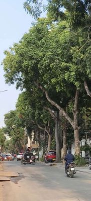 Bán nhà mặt phố phường Cửa Nam