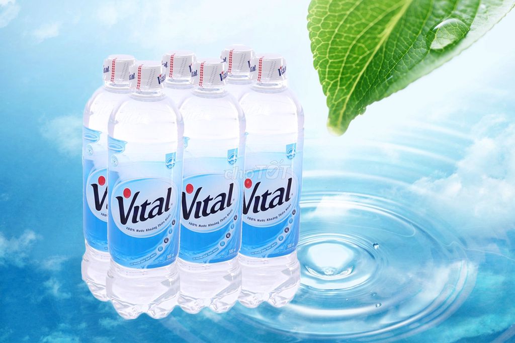 Nước khoáng Vital bình 19L tại Bà Rịa Vũng Tàu