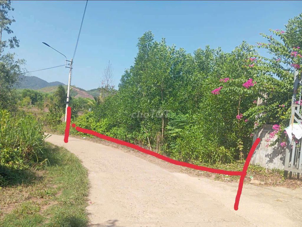 Bán đất mặt tiền xóm đá ong Bán đất mặt tiền xóm đá ong