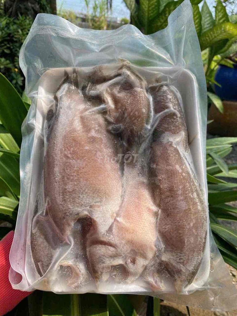 Cá sặc Loại 1 Tươi ngon. Mua bán Đồ ăn, thực phẩm và các loại khác tại Huyện Châu Thành Long An được đăng bởi Phương Nhi Tên Nhi hình 1