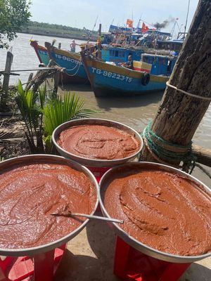 mắm tôm chà. Mua bán Đồ ăn, thực phẩm và các loại khác tại Quận 6 Tp Hồ Chí Minh được đăng bởi Bé Ty