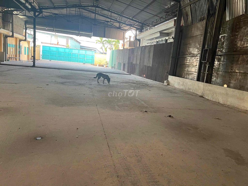 Cho thuê Xưởng 1150m2 Dĩ An - Bình Dương. Cho thuê văn phòng, mặt bằng kinh doanh tại Thành phố Dĩ An Bình Dương được đăng bởi Hoàng Trung Hiếu hình 1