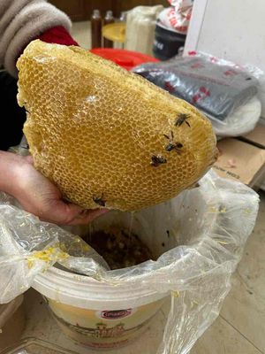 Mật ong rừng của người Tây Bắc 700k/L. Mua bán Đồ ăn, thực phẩm và các loại khác tại Quận 12 Tp Hồ Chí Minh được đăng bởi Nguyễn Lê Hoàng