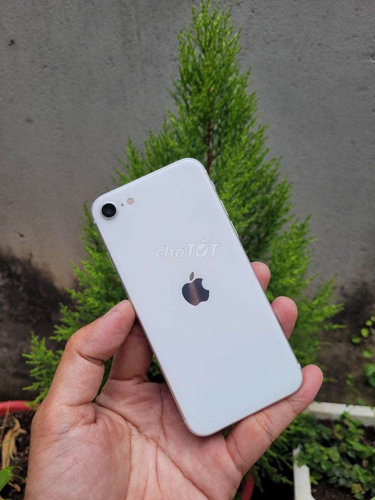 Apple iPhone SE 2020 64GB Trắng. Mua bán Điện thoại tại Thành phố Biên Hòa Đồng Nai được đăng bởi trần bảo kha hình 1