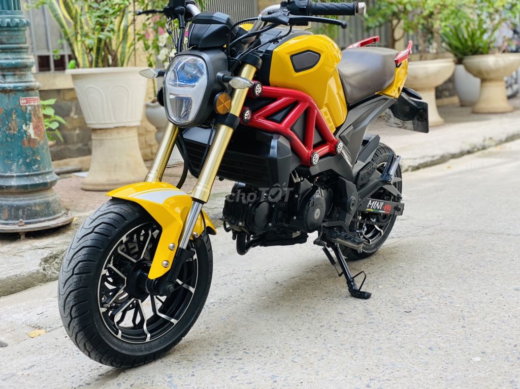 DUCATI MINI 110 VÀNG ĐEN NGUYÊN BẢN ÍT DUNGF