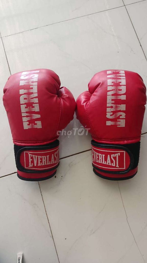 Găng tay boxing Everlast Đỏ 10oz Mới. Mua bán Đồ thể thao, Dã ngoại tại Huyện Chợ Mới An Giang được đăng bởi Sâu hình 1